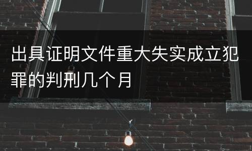 出具证明文件重大失实成立犯罪的判刑几个月