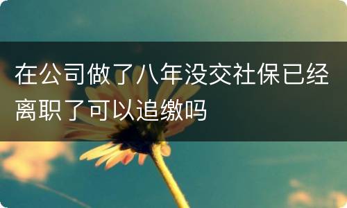 在公司做了八年没交社保已经离职了可以追缴吗