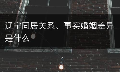 辽宁同居关系、事实婚姻差异是什么