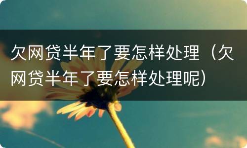 欠网贷半年了要怎样处理（欠网贷半年了要怎样处理呢）
