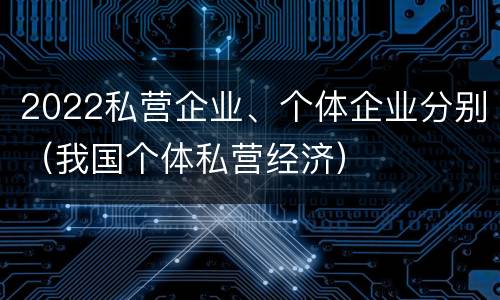 2022私营企业、个体企业分别（我国个体私营经济）
