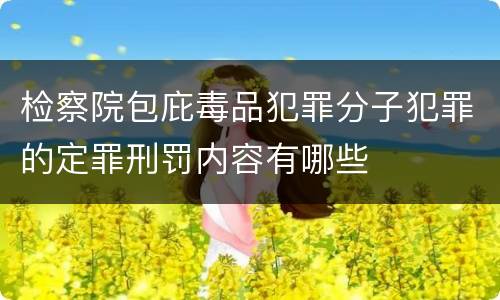 检察院包庇毒品犯罪分子犯罪的定罪刑罚内容有哪些