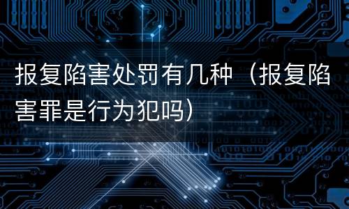 报复陷害处罚有几种（报复陷害罪是行为犯吗）