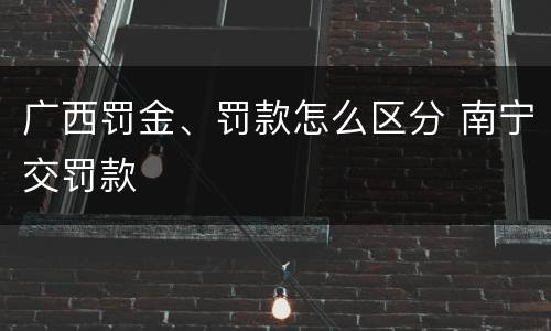 广西罚金、罚款怎么区分 南宁交罚款