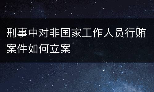刑事中对非国家工作人员行贿案件如何立案