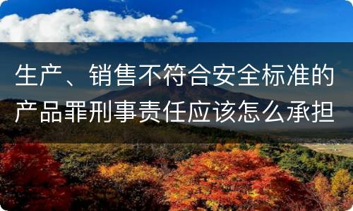生产、销售不符合安全标准的产品罪刑事责任应该怎么承担