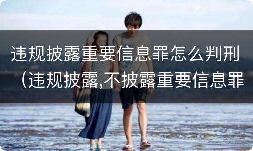 违规披露重要信息罪怎么判刑（违规披露,不披露重要信息罪判例）