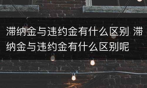 滞纳金与违约金有什么区别 滞纳金与违约金有什么区别呢