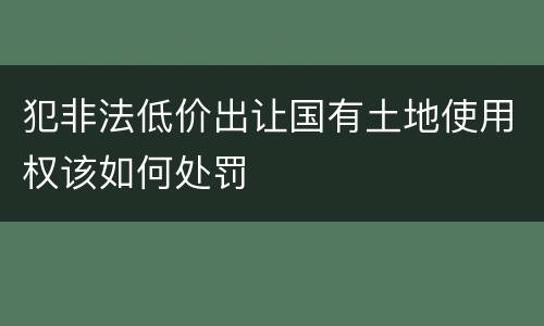 犯非法低价出让国有土地使用权该如何处罚