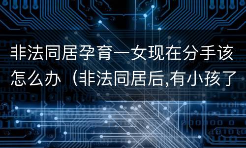 非法同居孕育一女现在分手该怎么办（非法同居后,有小孩了然后分手了怎么办）