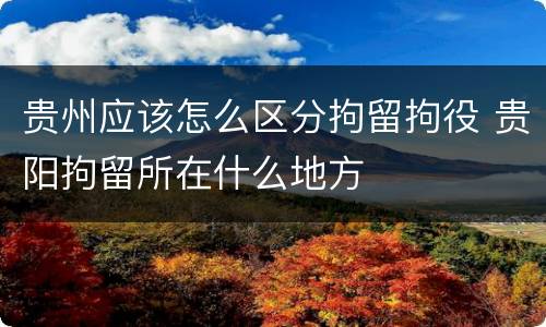 贵州应该怎么区分拘留拘役 贵阳拘留所在什么地方