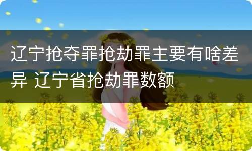 辽宁抢夺罪抢劫罪主要有啥差异 辽宁省抢劫罪数额