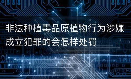 非法种植毒品原植物行为涉嫌成立犯罪的会怎样处罚