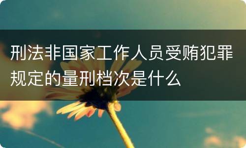 刑法非国家工作人员受贿犯罪规定的量刑档次是什么