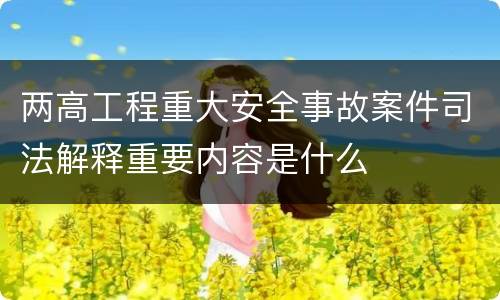 两高工程重大安全事故案件司法解释重要内容是什么