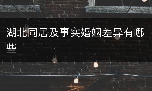 湖北同居及事实婚姻差异有哪些