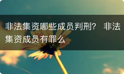 非法集资哪些成员判刑？ 非法集资成员有罪么