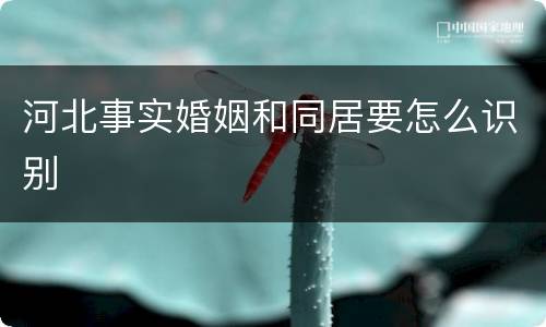 河北事实婚姻和同居要怎么识别