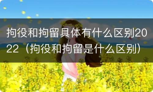 拘役和拘留具体有什么区别2022（拘役和拘留是什么区别）