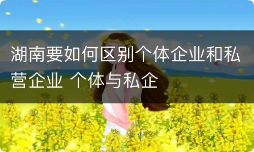 湖南要如何区别个体企业和私营企业 个体与私企