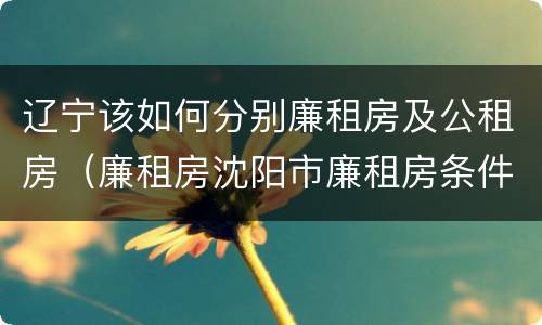 辽宁该如何分别廉租房及公租房（廉租房沈阳市廉租房条件）