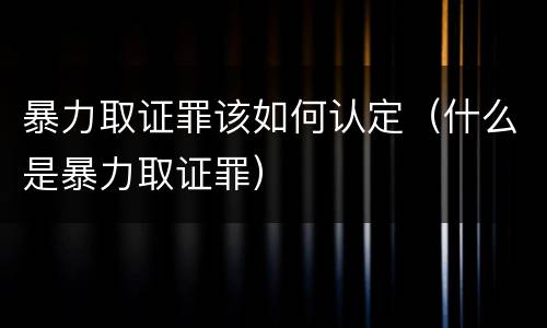 暴力取证罪该如何认定（什么是暴力取证罪）