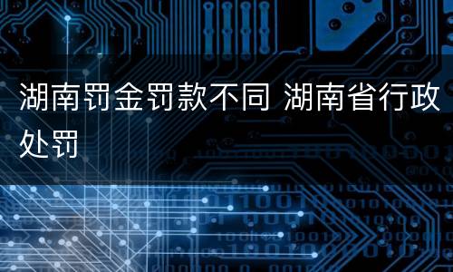 湖南罚金罚款不同 湖南省行政处罚