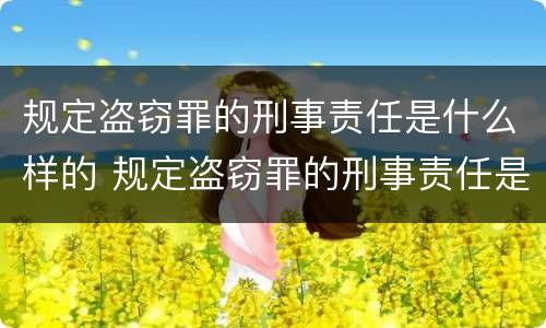 规定盗窃罪的刑事责任是什么样的 规定盗窃罪的刑事责任是什么样的案件
