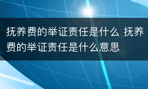 抚养费的举证责任是什么 抚养费的举证责任是什么意思