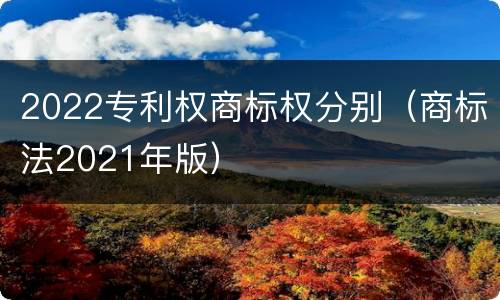 2022专利权商标权分别（商标法2021年版）