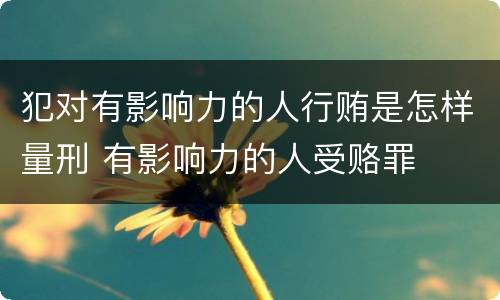犯对有影响力的人行贿是怎样量刑 有影响力的人受赂罪