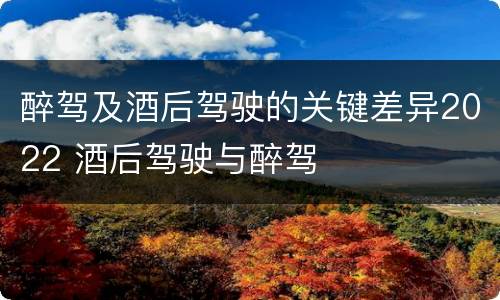 醉驾及酒后驾驶的关键差异2022 酒后驾驶与醉驾