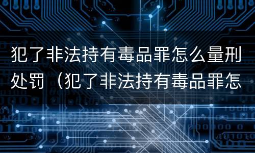犯了非法持有毒品罪怎么量刑处罚（犯了非法持有毒品罪怎么量刑处罚标准）