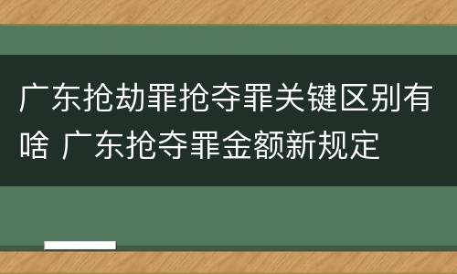 广东抢劫罪抢夺罪关键区别有啥 广东抢夺罪金额新规定
