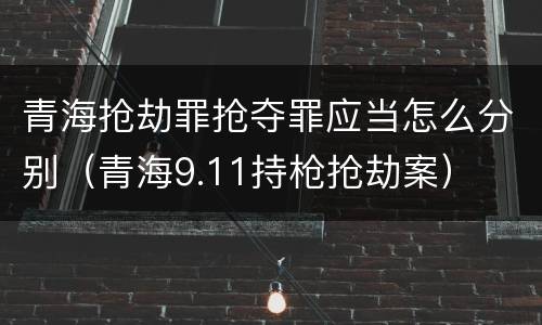 青海抢劫罪抢夺罪应当怎么分别（青海9.11持枪抢劫案）