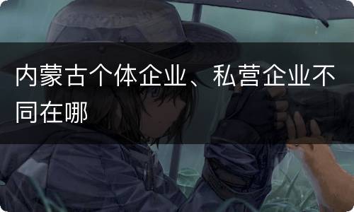 内蒙古个体企业、私营企业不同在哪