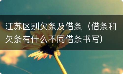 江苏区别欠条及借条（借条和欠条有什么不同借条书写）