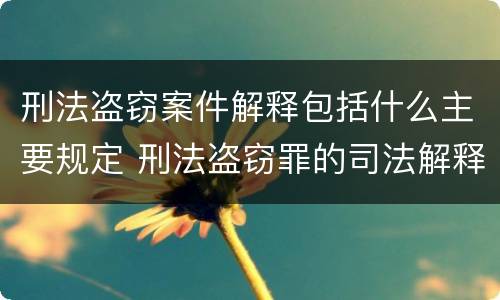 刑法盗窃案件解释包括什么主要规定 刑法盗窃罪的司法解释