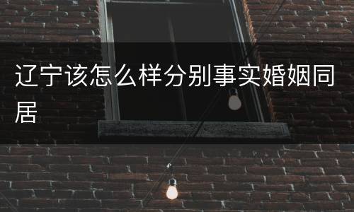 辽宁该怎么样分别事实婚姻同居