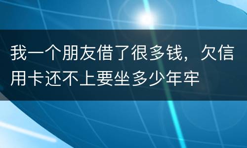 我一个朋友借了很多钱，欠信用卡还不上要坐多少年牢