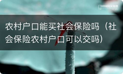 农村户口能买社会保险吗（社会保险农村户口可以交吗）