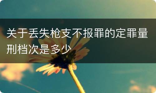 关于丢失枪支不报罪的定罪量刑档次是多少