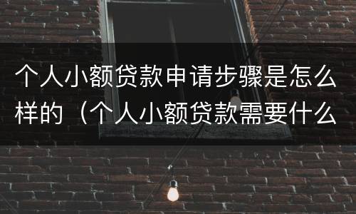 个人小额贷款申请步骤是怎么样的（个人小额贷款需要什么条件）
