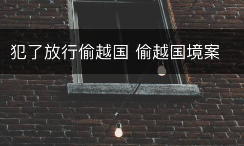 犯了放行偷越国 偷越国境案