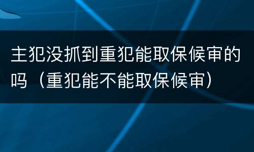 主犯没抓到重犯能取保候审的吗（重犯能不能取保候审）