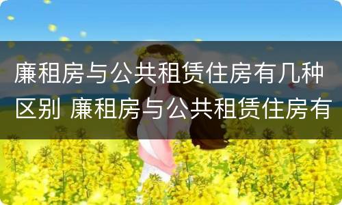 廉租房与公共租赁住房有几种区别 廉租房与公共租赁住房有几种区别图片
