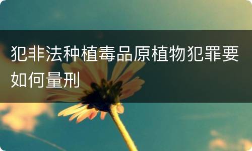 犯非法种植毒品原植物犯罪要如何量刑