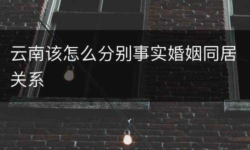 云南该怎么分别事实婚姻同居关系
