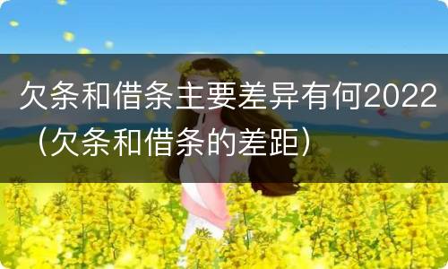 欠条和借条主要差异有何2022（欠条和借条的差距）