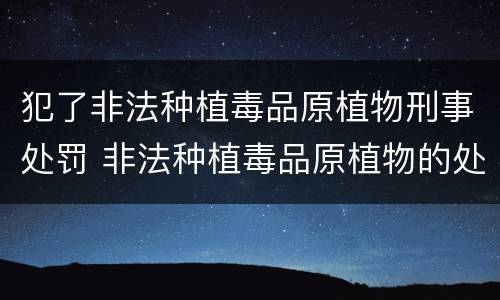 犯了非法种植毒品原植物刑事处罚 非法种植毒品原植物的处罚